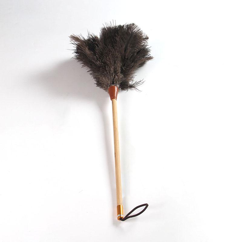 Feather Duster Wooden Handle Duster Anti-static Dust Removal for High Ceiling & Home Cleaning Gentle on Delicate Surface