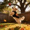 T-shirt Costume pour Chien avec Motif Citrouille d'Halloween pour Chiens de Petite à Grande Taille