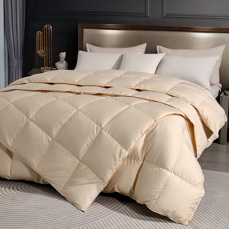 Yamian Premium 90% White Goose Down Winter Quilt