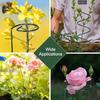 Set Of 5 Rustproof Iron Tomato Stakes Twisted/Vertical Design Plant Support Holder Climbing Stand For Climbing Vegetable