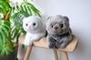 Sunlemon Knee Cat Scottish Fold Gray x x cm Stuffed Animal 17.5 12.6 33.2 P-8342
