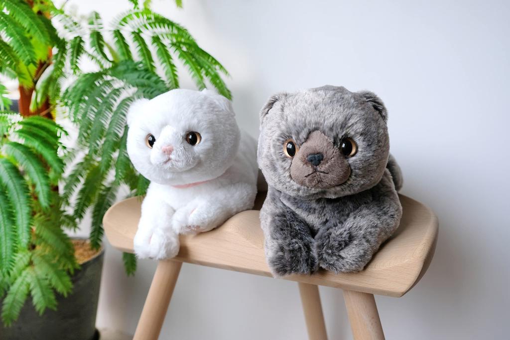 Sunlemon Knee Cat Scottish Fold Gray x x cm Stuffed Animal 17.5 12.6 33.2 P-8342