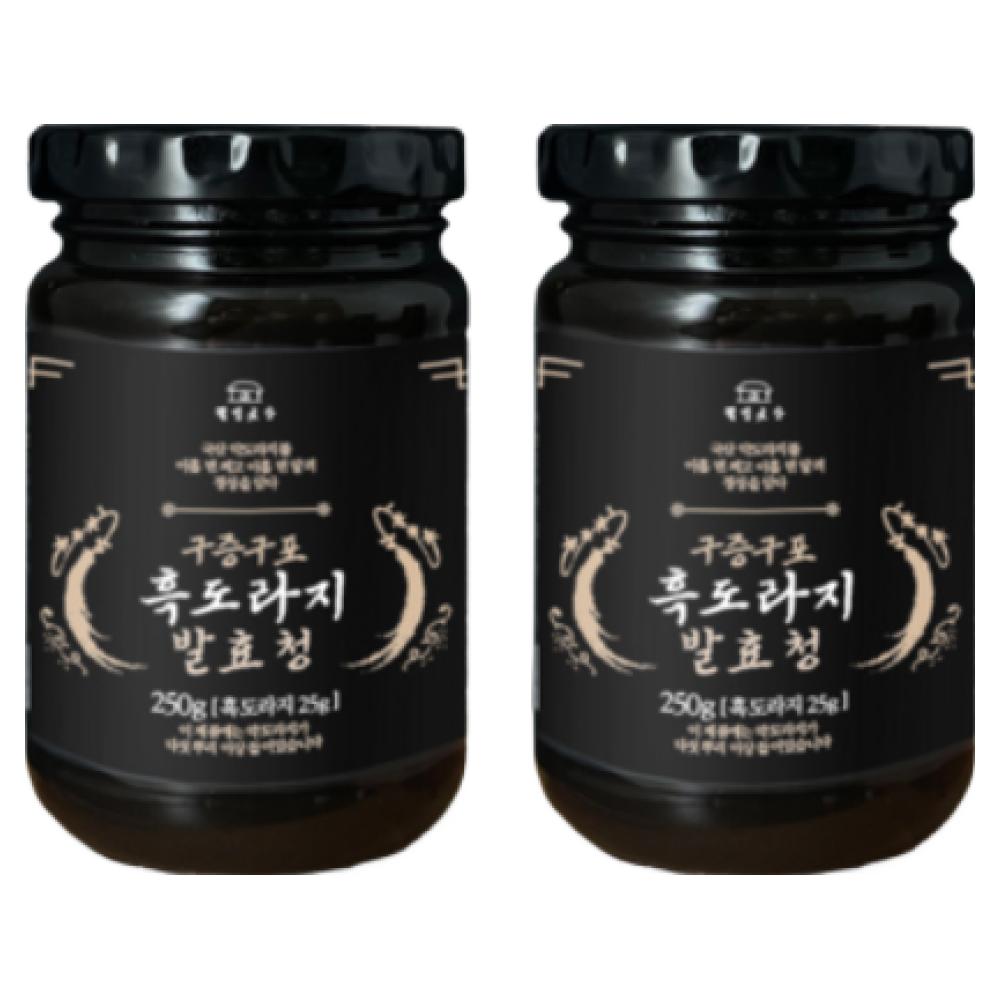 Wellbeing Gotgan Gujeunggupo Black Balloon Flower Root Fermented Syrup 250g 2 pcs