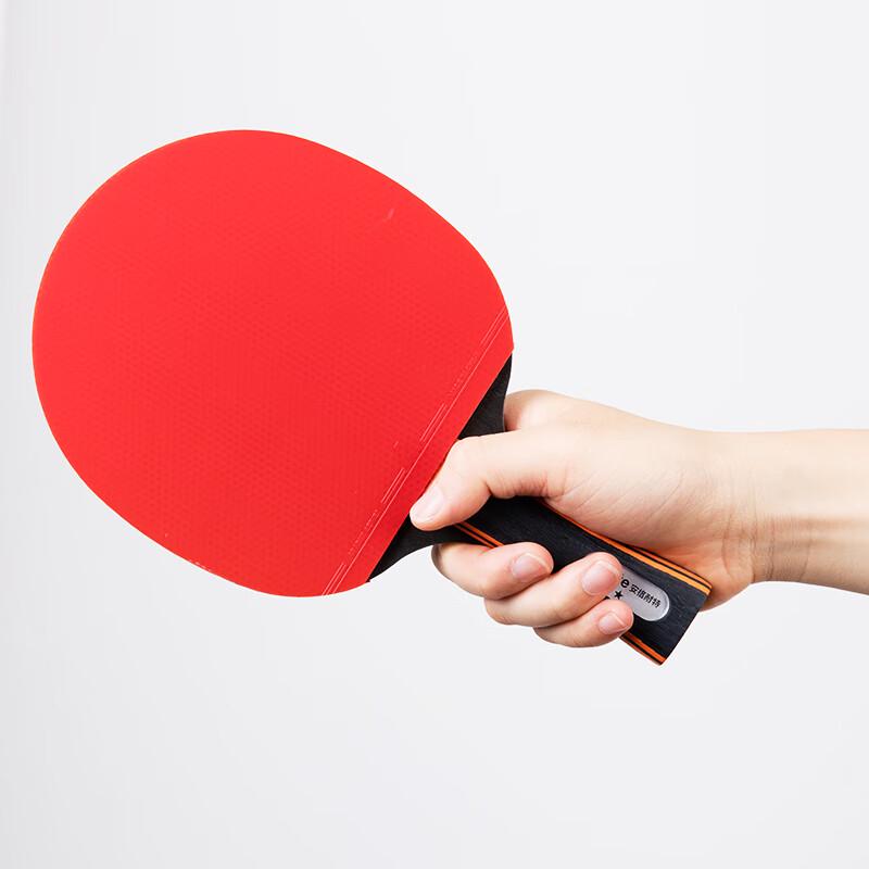 Deli Angrenate 1-Star Table Tennis Racket