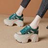 Inner Heightening Bag Head Women's Shoes 2025 New Summer Hollow Breathable Thick-soled Small White Thick-heeled Roman Sandals