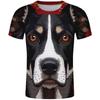 APPENZELLER SENNENHUND Dog T Shirt Free Custom Name Number Teams Logo Comic Animal Headgear Peaked Print Photo Text Clothes