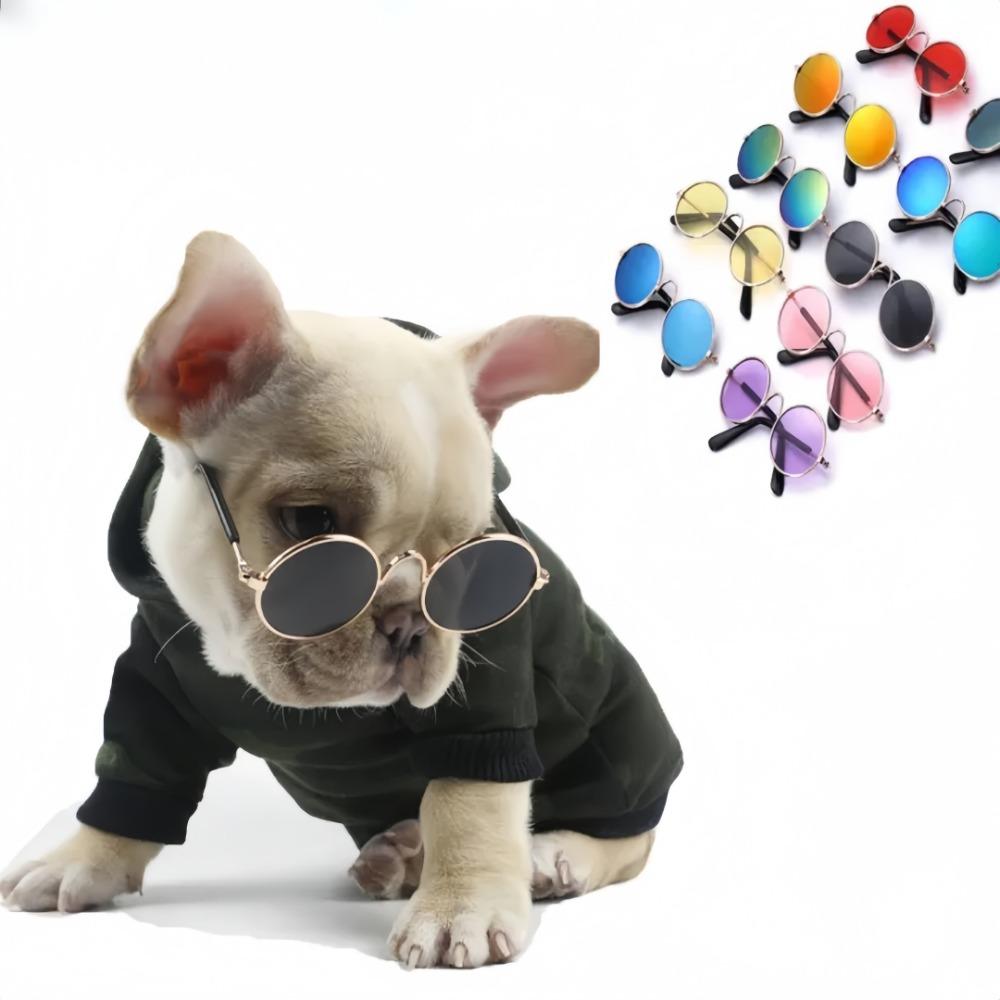 Fashionable Pet Sunglasses Metal Round Frame Puppy Cat Crown Prince Glasses For The Trend Of Internet Famous Pet Photography