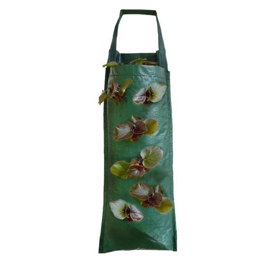 Hanging Strawberry Grow Bag Upside Down Strawberry Planter Reusable Breathable Plant Grow Bag with 4 6 8 10 Planting Holes for Vegetables And