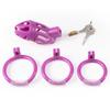 Manufacturer Male Chastity Cage Large Chastity Device with 3 Sizes Rings and Invisible Lock Chastity Cage for Man