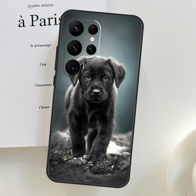 Labrador Puppy Dog Case For Samsung Galaxy S26 Ultra S25 S23 S22 S21 S24 Ultra S10 S20 Plus S25 FE Phone Cover