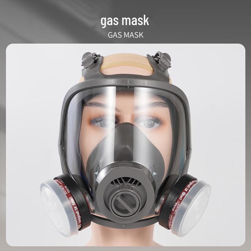 Lieve Full Face Protective Respirator