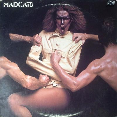 LP Record MADCATS  Madcats Canadian Melodic Hard Rock BDS5718 BUDDAH 1978 Japan Rock Used