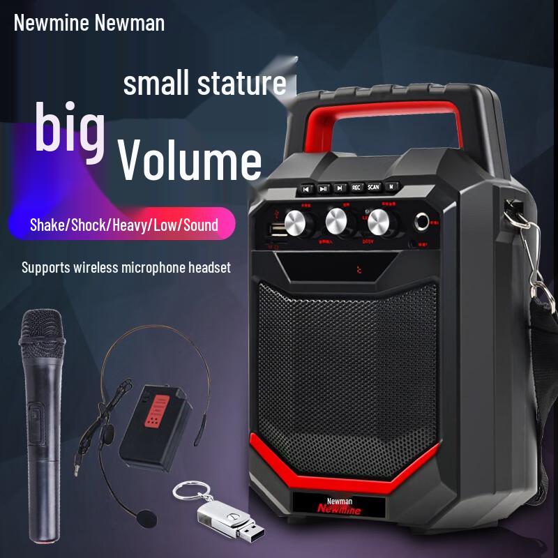 Newmine K66 Portable Bluetooth Speaker with Wireless Microphones