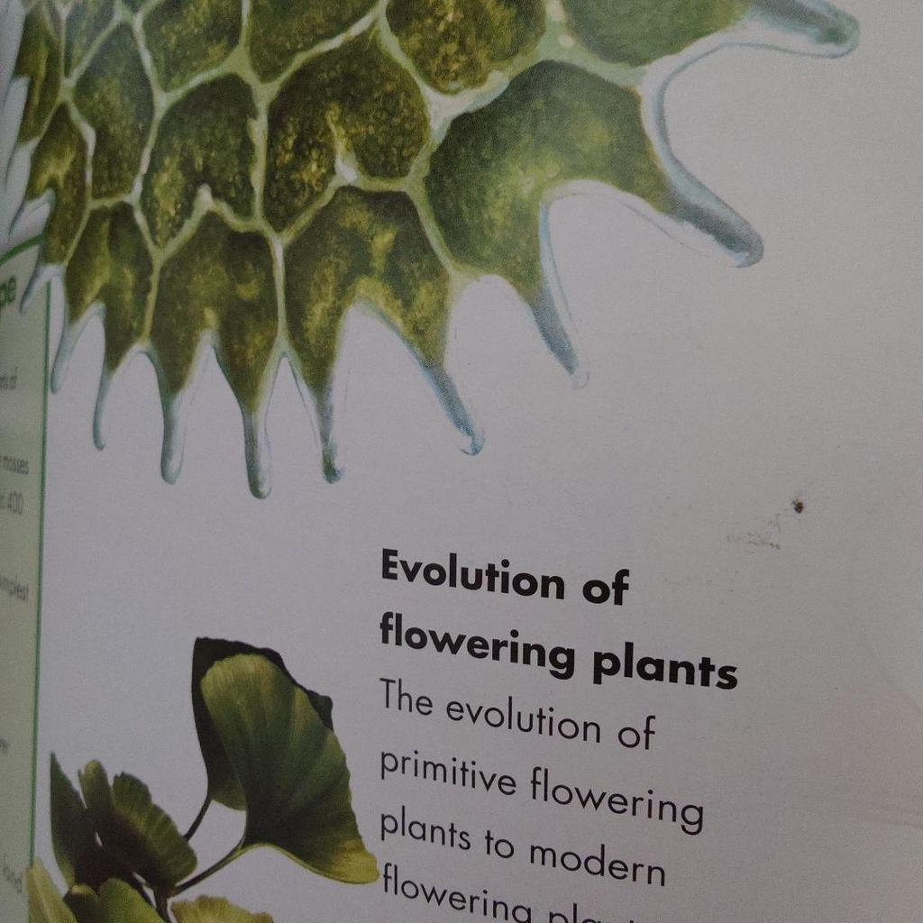 [USED] Anonymous delivery fact scope "PLANTS" foreign books