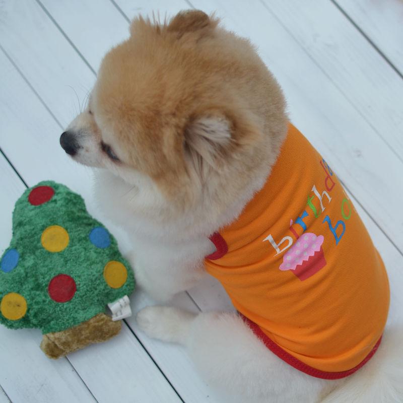 Pet Puppy Summer Vest Birthday Dress T-shirt Clothes