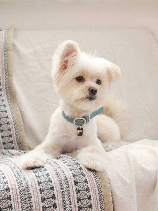 MAISON DE MIU Heart Pendant Collar - Indian Blue Indian Blue