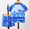 Boys' Two-Piece Quick-Dry Swimsuit with Coconut Tree Cartoon, 2025