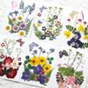 Diy Handmade Embossed Bookmarks 6 Colors Dried Flower Embossing Kit Dried Flower Hand Paste Face Makeup Leaf Veins Dried Flowers