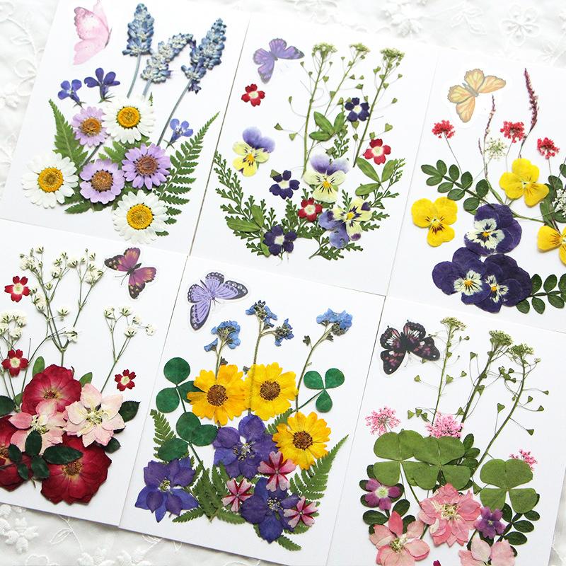 Diy Handmade Embossed Bookmarks 6 Colors Dried Flower Embossing Kit Dried Flower Hand Paste Face Makeup Leaf Veins Dried Flowers
