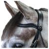 Whitaker Pick N Mix Leather Curved Horse Browband