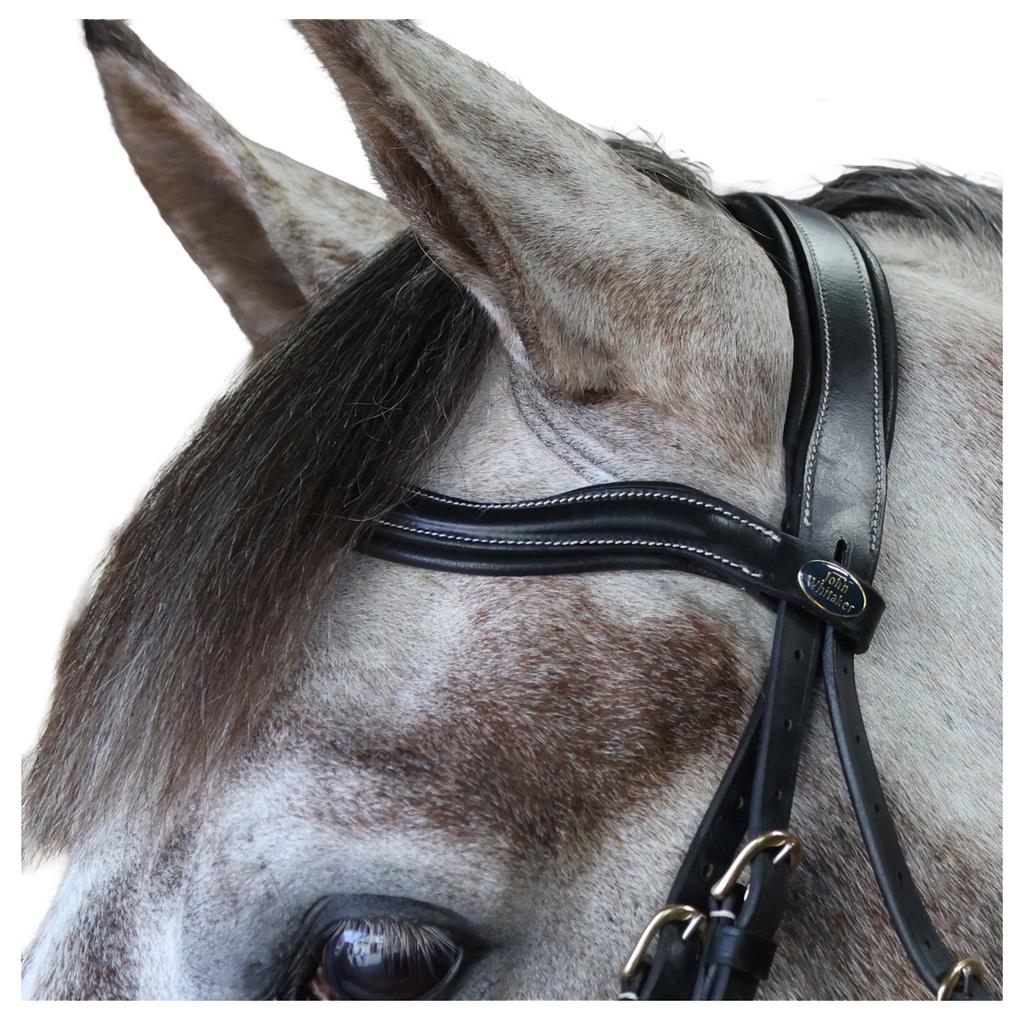 Whitaker Pick N Mix Leather Curved Horse Browband