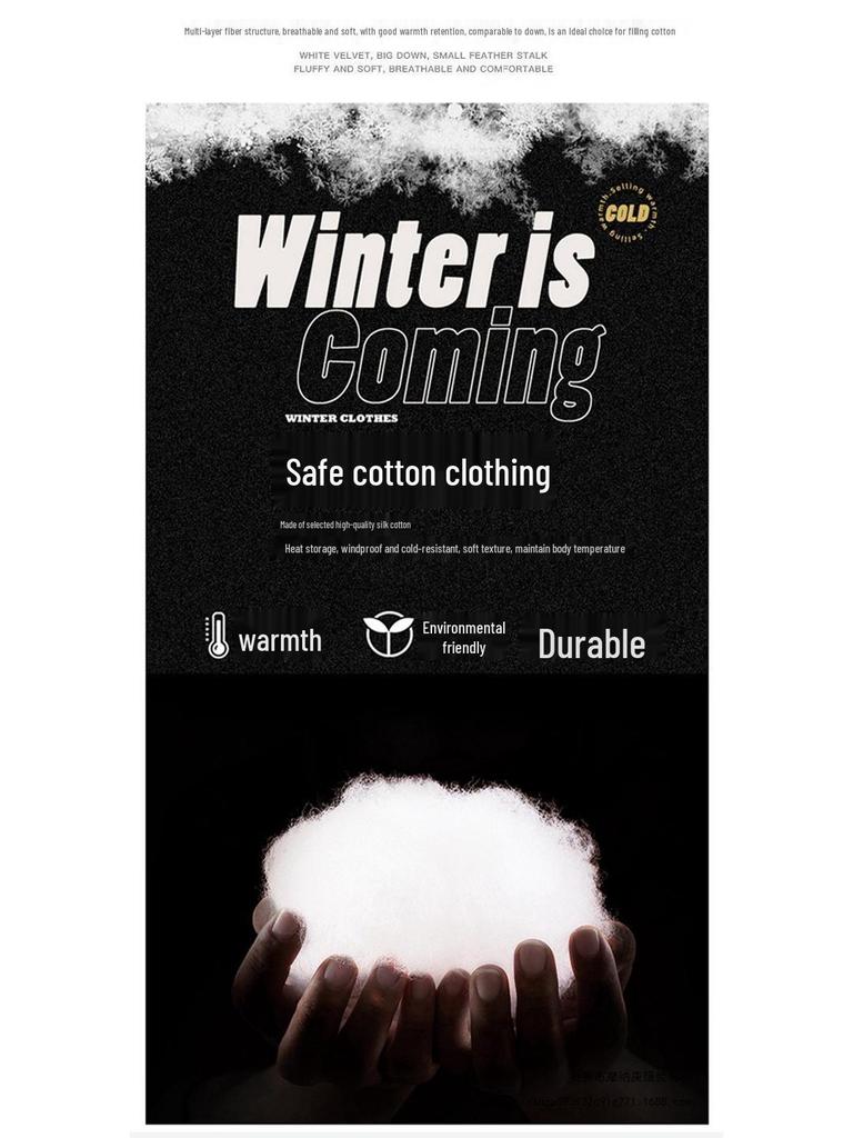 2025 Winter Trendy Hong Kong Style Stand Collar Puffer Jacket for Young Men