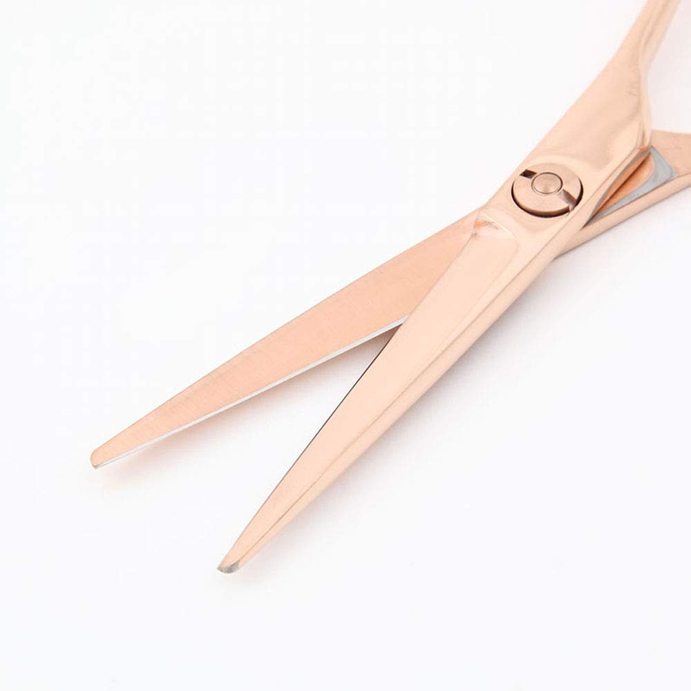 DEEDS GDZ Pink Gold Titanium by Japanese Scissors Professional Hairdressing Scissors with Storage Case [PF] Scissors, 5.5 inches, Manufacturer,