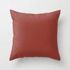 Modern Simple Solid Color Double-Sided Printed Pillow Cover Pillow Core Home Sofa Cushion Pillow Cover Premium