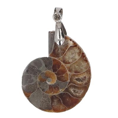 Ammonite Shell Pendant Handcrafted Vintage Nature Ammonite Pendant for Women Men Gift