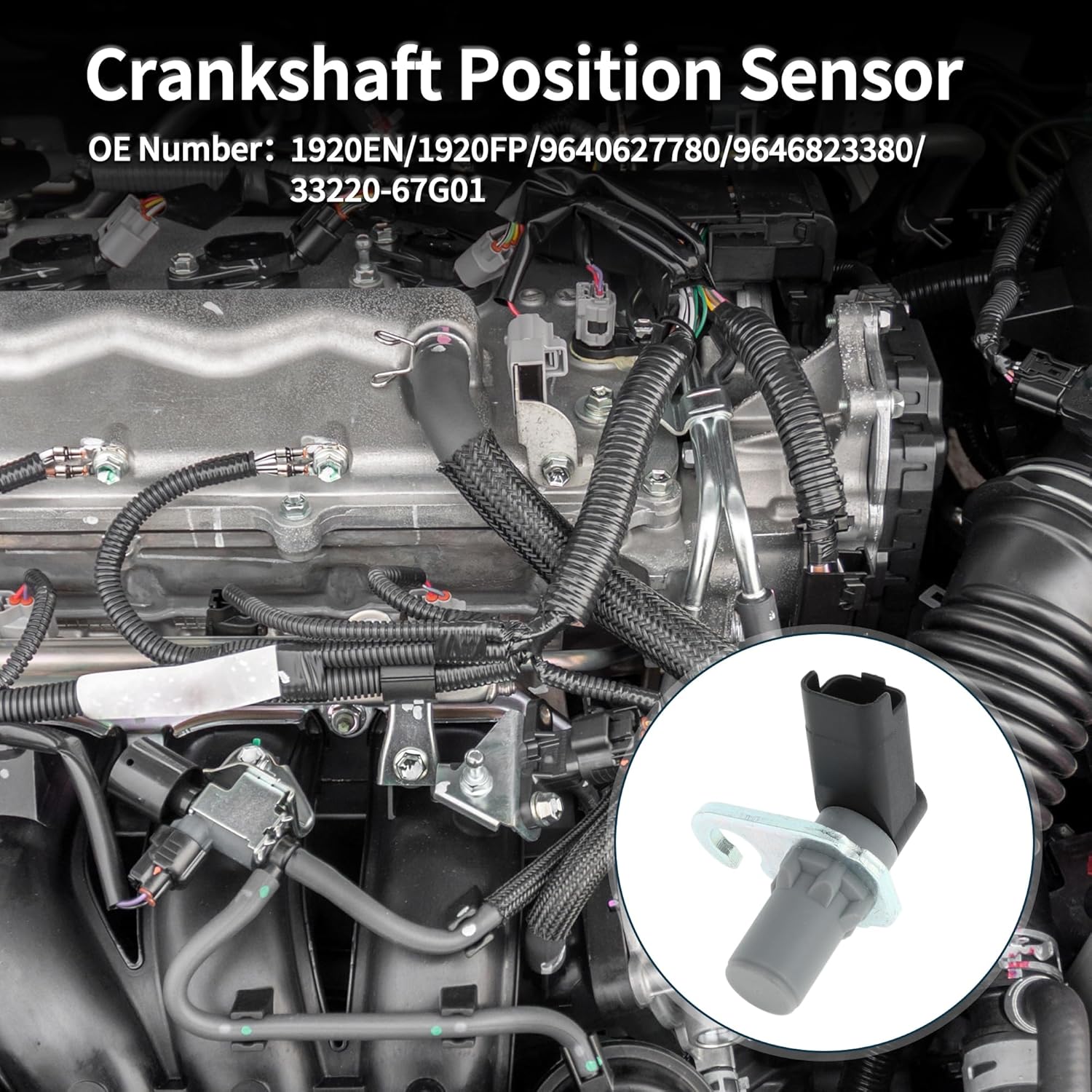 

Crankshaft Position Sensor for Peugeot 307 2.0 16V 2005-2007 Sturdy No.1920EN/1920FP Engine Crank CKP Sensor Black Gray 1 Pc