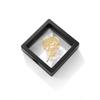 Fashion Hollow Metal Rose Brooch Women Collar Brooch Elegant Temperament Pin Jewelry
