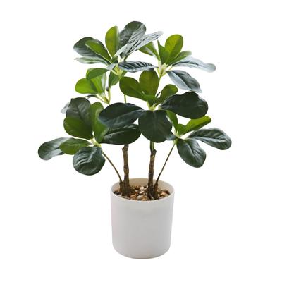 Photocatalytic Artificial Fake Antibacterial and Deodorizing Tabletop Mini Size No Watering Natural Day Gift Compatible Tree Plant, Green, Function,