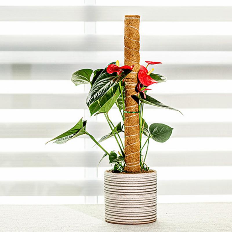 Stackable Potted Plant Climbing Coconut Sticks Vine Support Expansion Houseplant Gardening Supplies Multipurpose Gardening