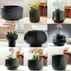 Extra Large Black Nordic Ceramic Orchid Pot for Indoor Succulents and Balcony