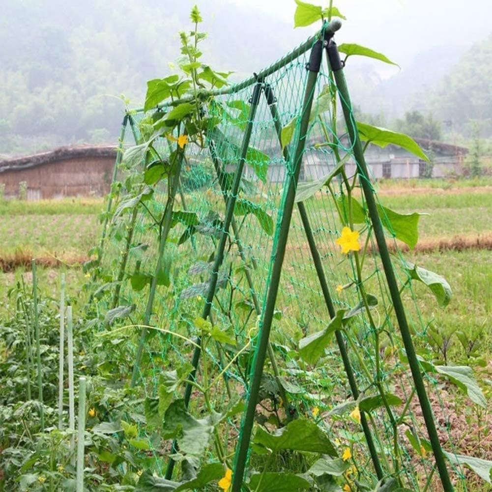 TG71977 NET SUPPORT FOR CLIMBING PLANTS LADDER SUPPORT 1.8x1.8M