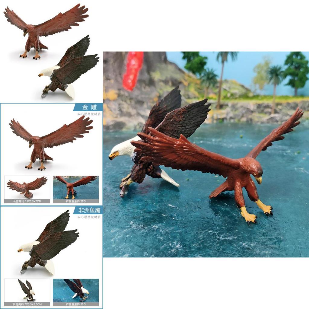 Wildlife Bird Eagles Replicas Pvc Desk Ornaments For Children Classroom Learning