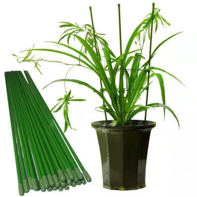 Garden Bendable Single Stem Plant Support Stakes High Strength Easy To Use Wind Protection
