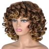 European and American Style Women’s Afro Kinky Curly Wig Multi-Color Small Curls Synthetic Full Wig