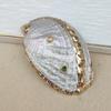 Natural Gold-plated Edge Conch Shell White Abalone Shell White Real Seashell Pendant DIY Jewelry Bracelet Wind Chime for Women