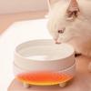 Heated Dog Water Bowl Rechargeable Pet Water Bowl Heater Quiet Pet Water Bowl Heater Animal Drinking Bowl Pet Water Dispenser