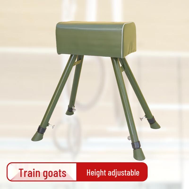 Gymnastics Training Vaulting Buck