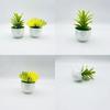 Plastic Succulent Fake Plant Pot For Home Decor And Gift