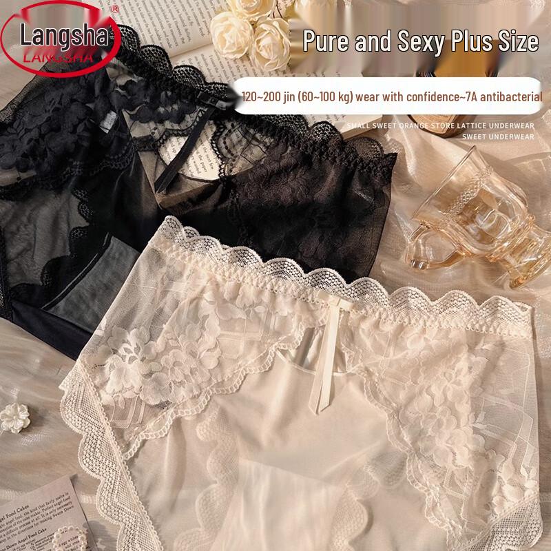 Langsha Plus Size Women's Sexy Lace French Briefs (3-Pack)