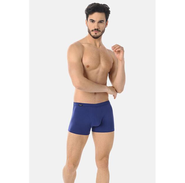 Teyli Levi Boxers