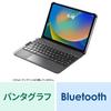 SANWA SUPPLY 10.9-inch iPad Keyboard with Case and Built-in Touchpad (SKB-BTIPAD3BK)