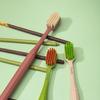 Adult Soft Bristle Toothbrush 3-Pack with Silver Ion Antibacterial Wide Head