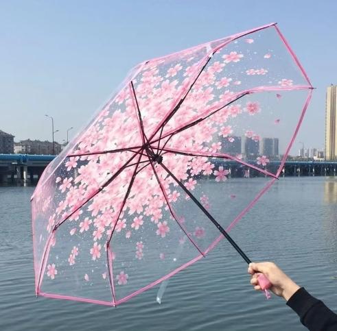 1 Stück Tragbarer niedlicher Blumen-Haushalts-Regenschirm Kirschblüte Transparenter Regenschirm Wind- und Regenschutz 3-fach PVC-Schirm