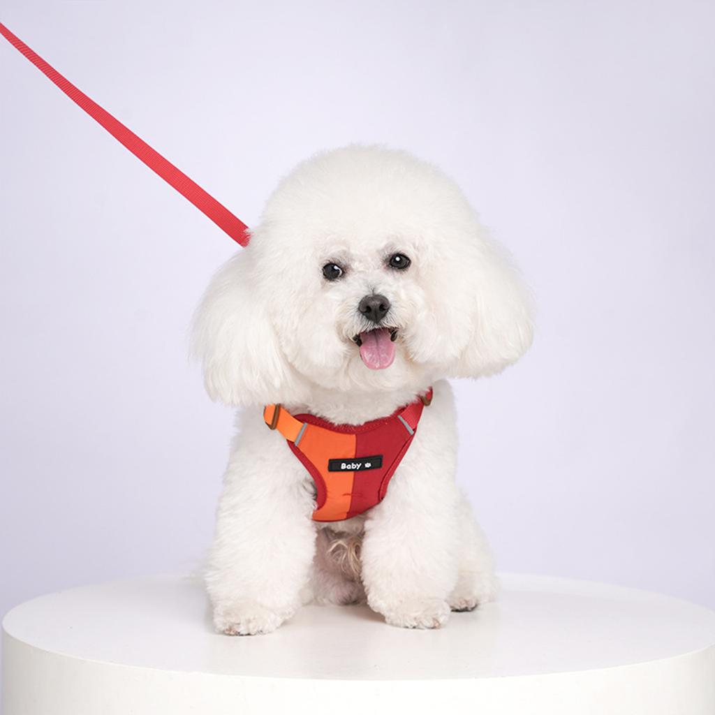 Pet Dog Leash Set Small Medium Dog Vest Breathable Puppy Chest Strap French Chihuahua Pet