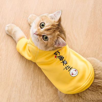 Abbigliamento e scarpe – Pullover per cani