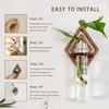 Wall Planter for Indoors Clear Planters with Wooden Hollow Stand Plastic